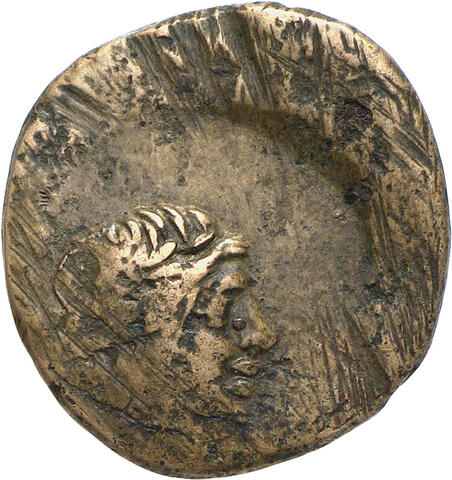 Gorgippia_Vorderseite